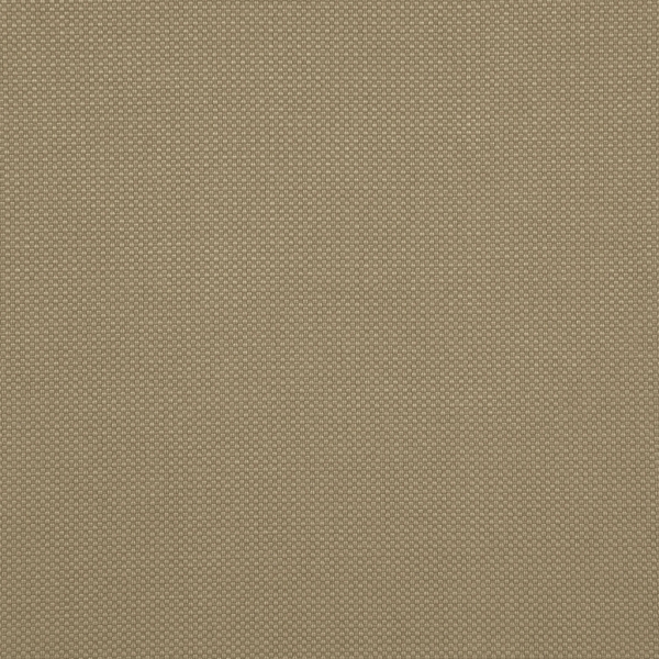 Amazon 14 Mocha