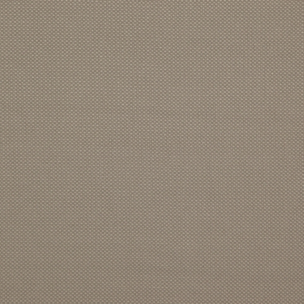 Amazon 15 Almond