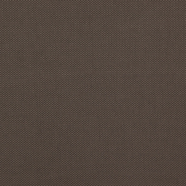 Amazon 19 Fossil
