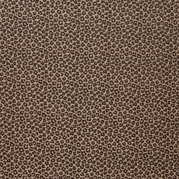 Amur Bronze