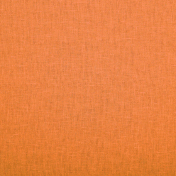 Cole Clementine