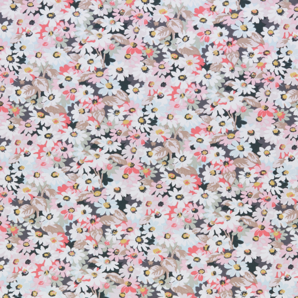 Painted Daisy Multi
