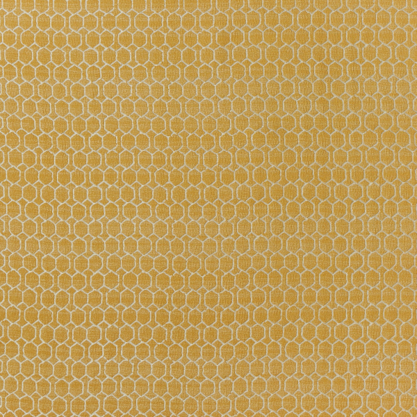 Digby Sunflower