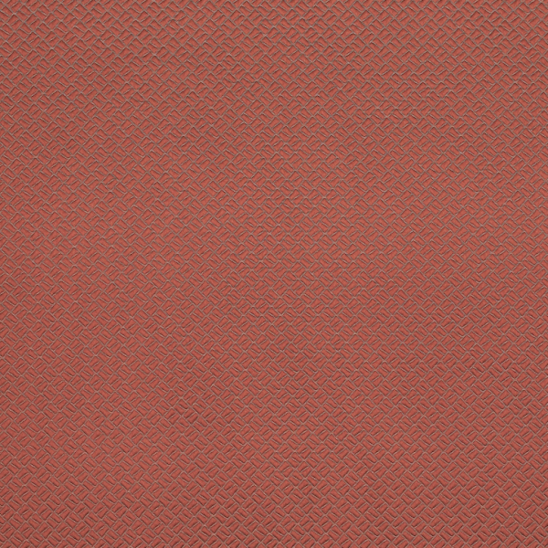 Moreton Coral