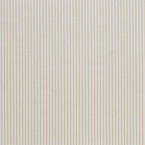 Candy Stripe Dijon