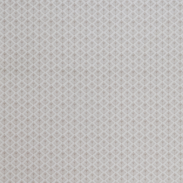 Lady Fern Dove Grey