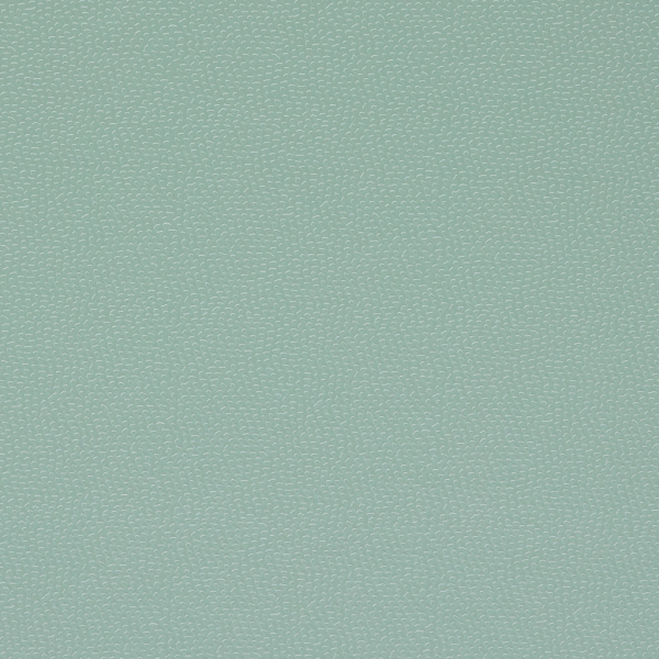Thayer Spearmint