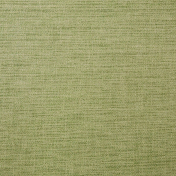 Lunar Olive