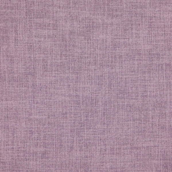 Mauritius_17-Iris