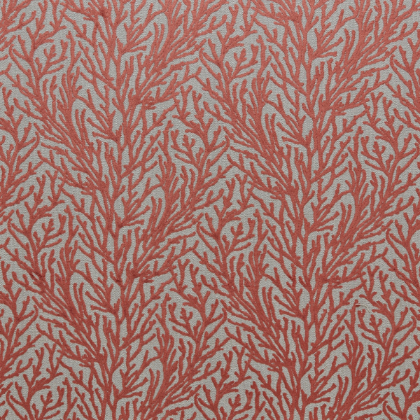 Reef Saffron