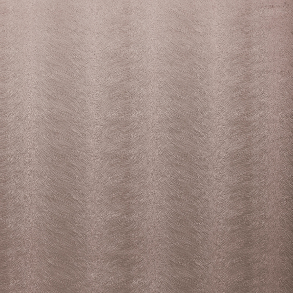 Allegra Candyfloss