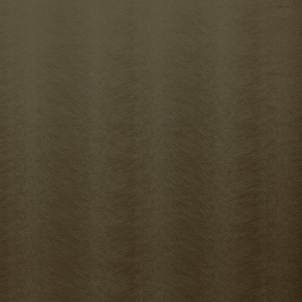 Allegra Olive