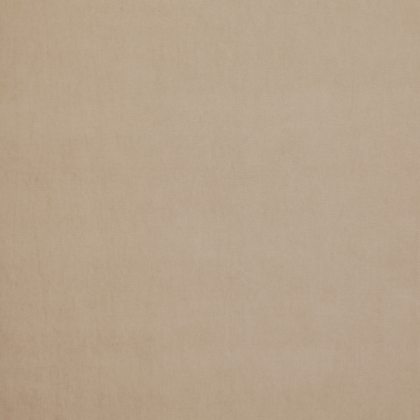 Arezzo Putty