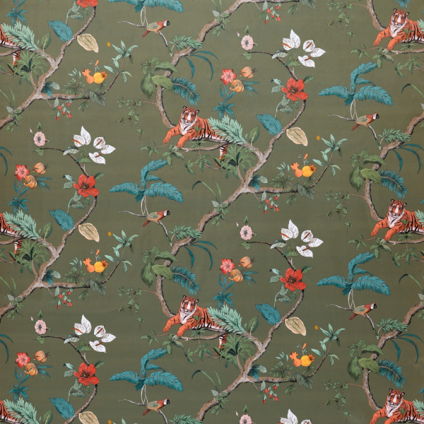 Bengal Olive