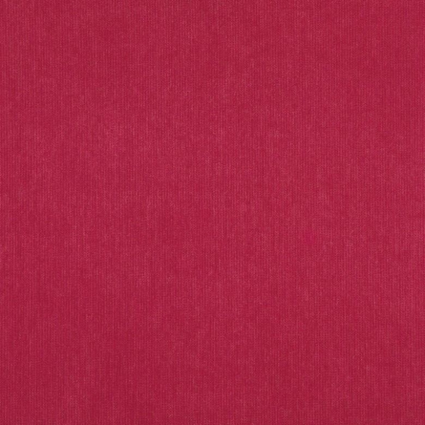 Calm 25 Ribbon