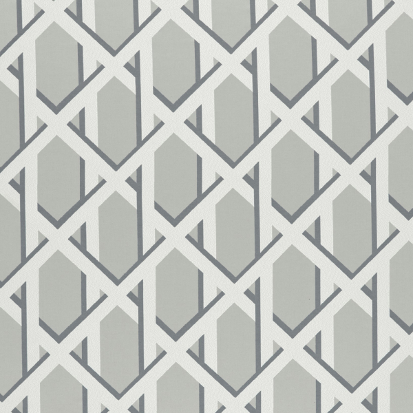Lattice Dove