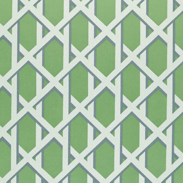 Lattice Kiwi