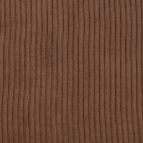 Lucio Cognac