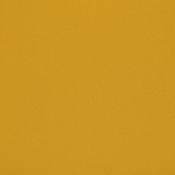 Omari Sunflower