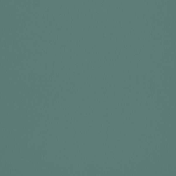 Omari Teal