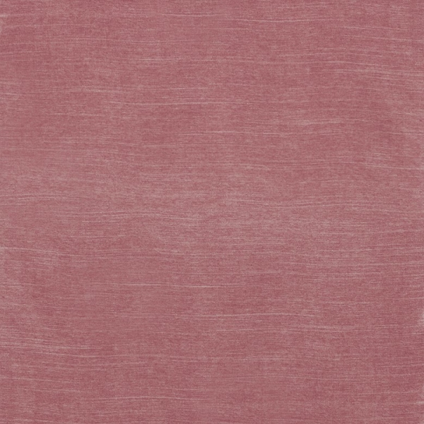Pivot Rose 13