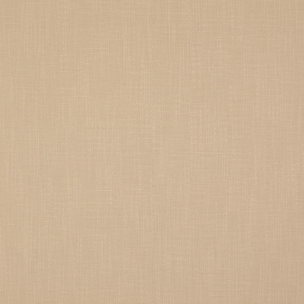 Polo_06-Papyrus