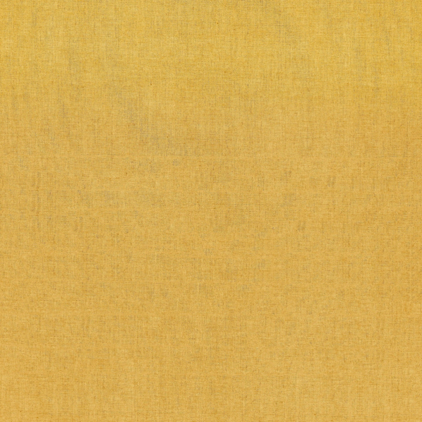 Saluzzo Lemon