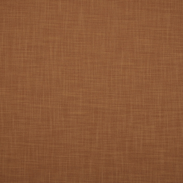 Zander Apricot
