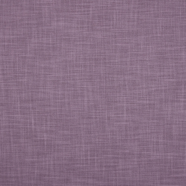 Zander Lavender