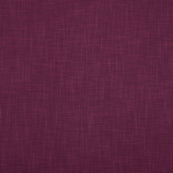 Zander Magenta