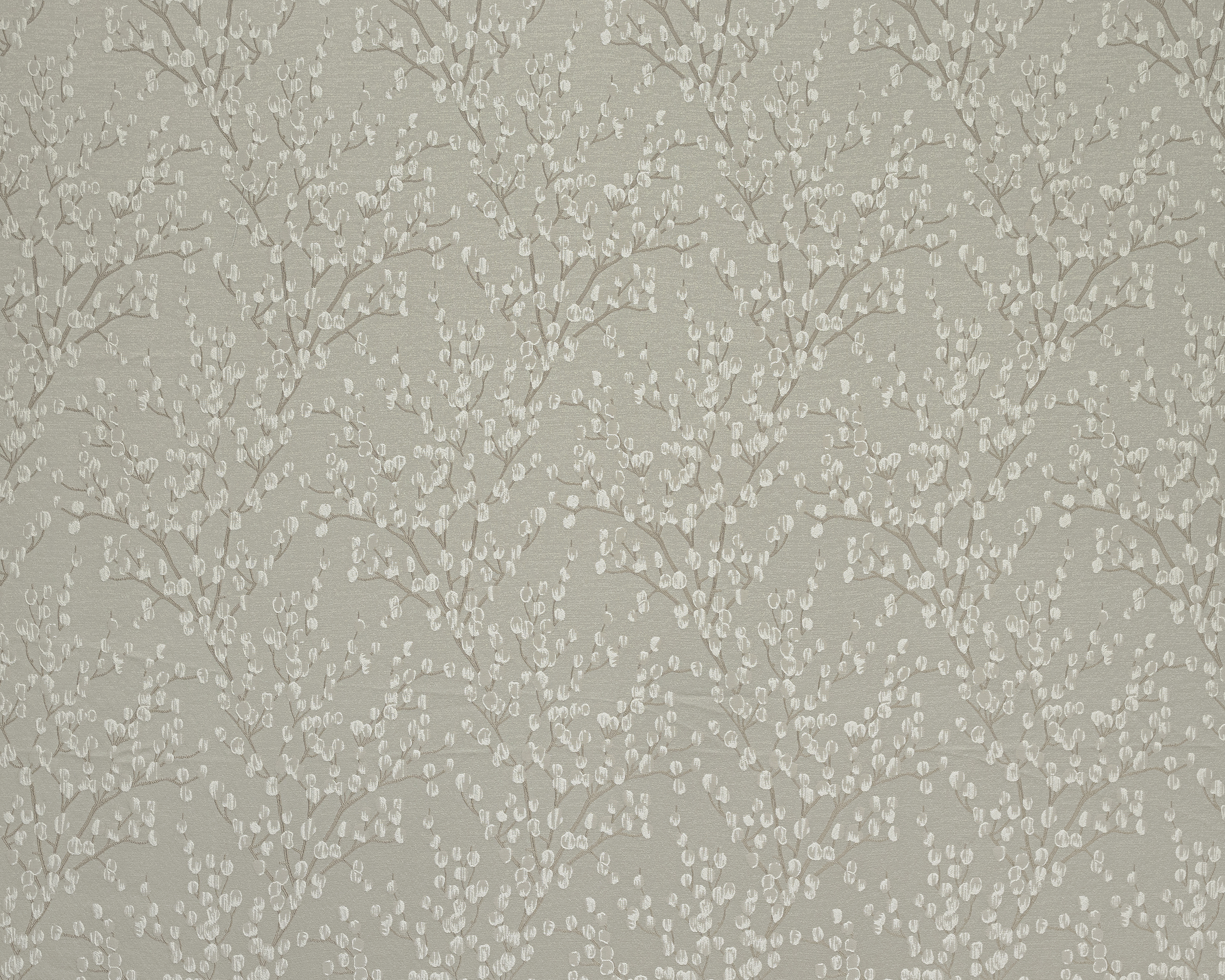Berkeley Sesame