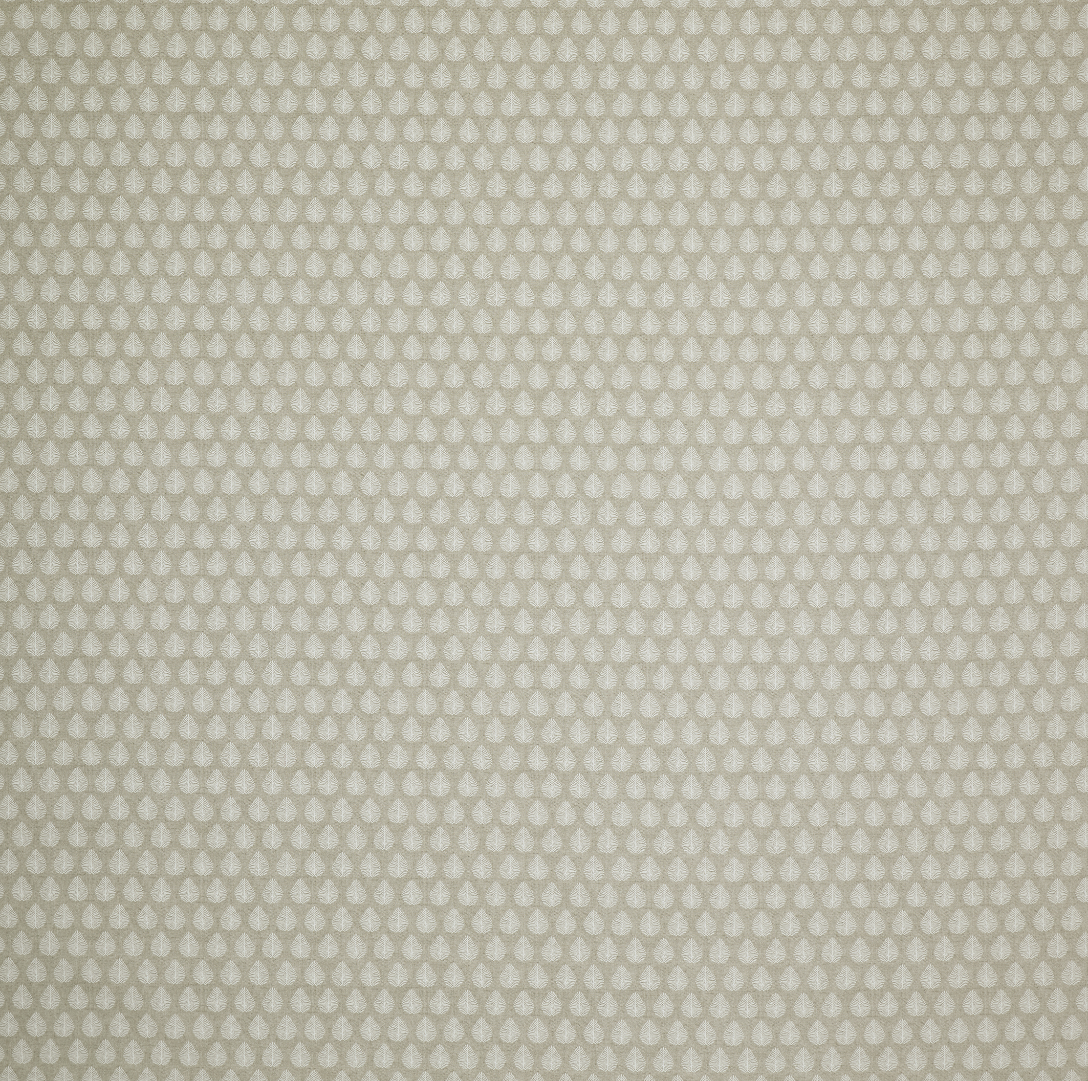Jaipur Linen