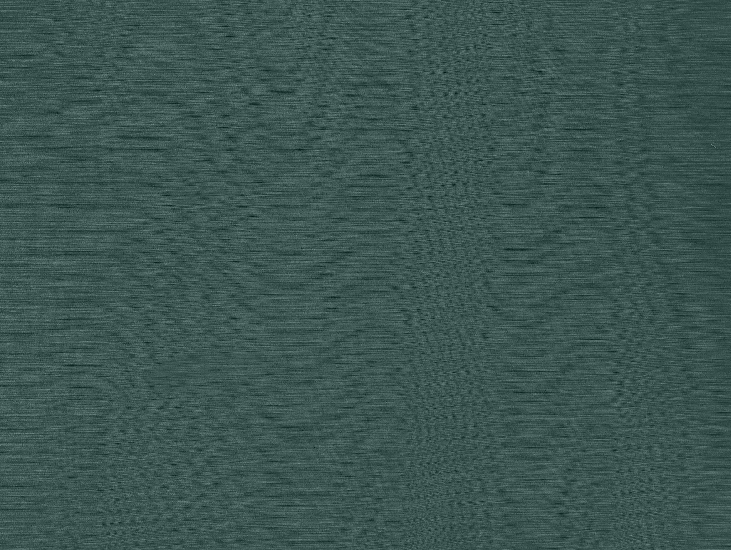 Austen Teal