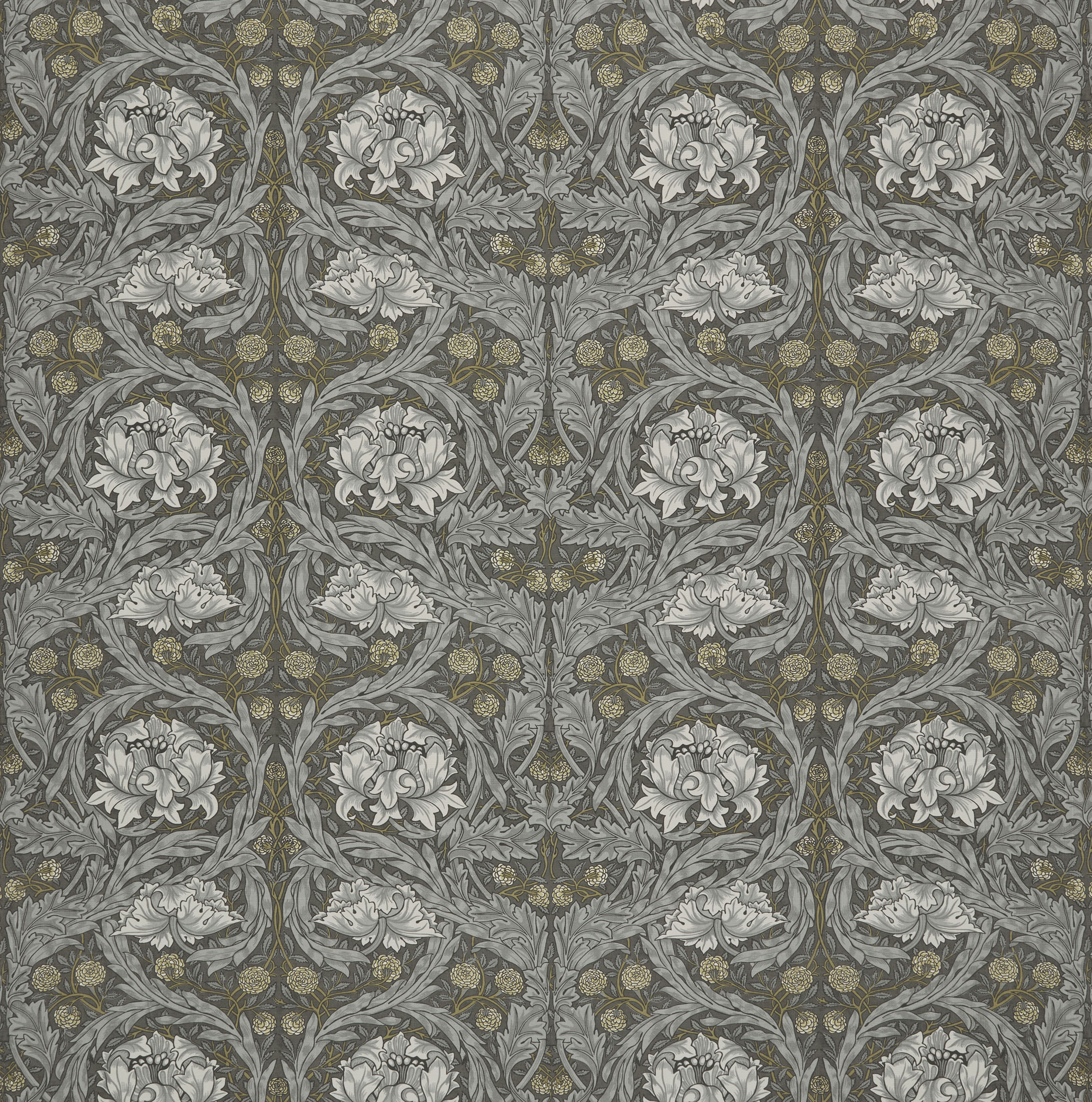 African Marigold Iron