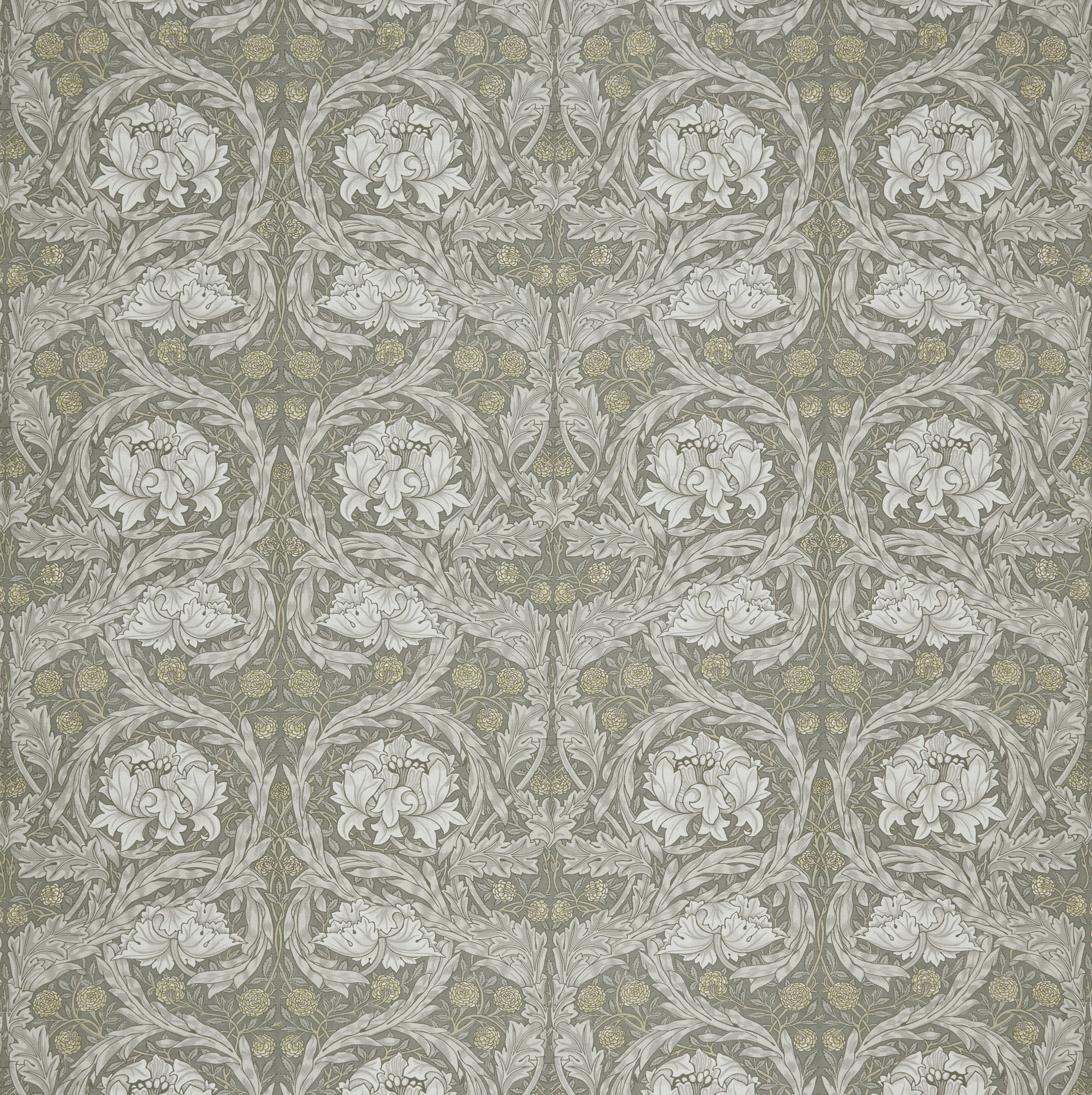 African Marigold Limestone