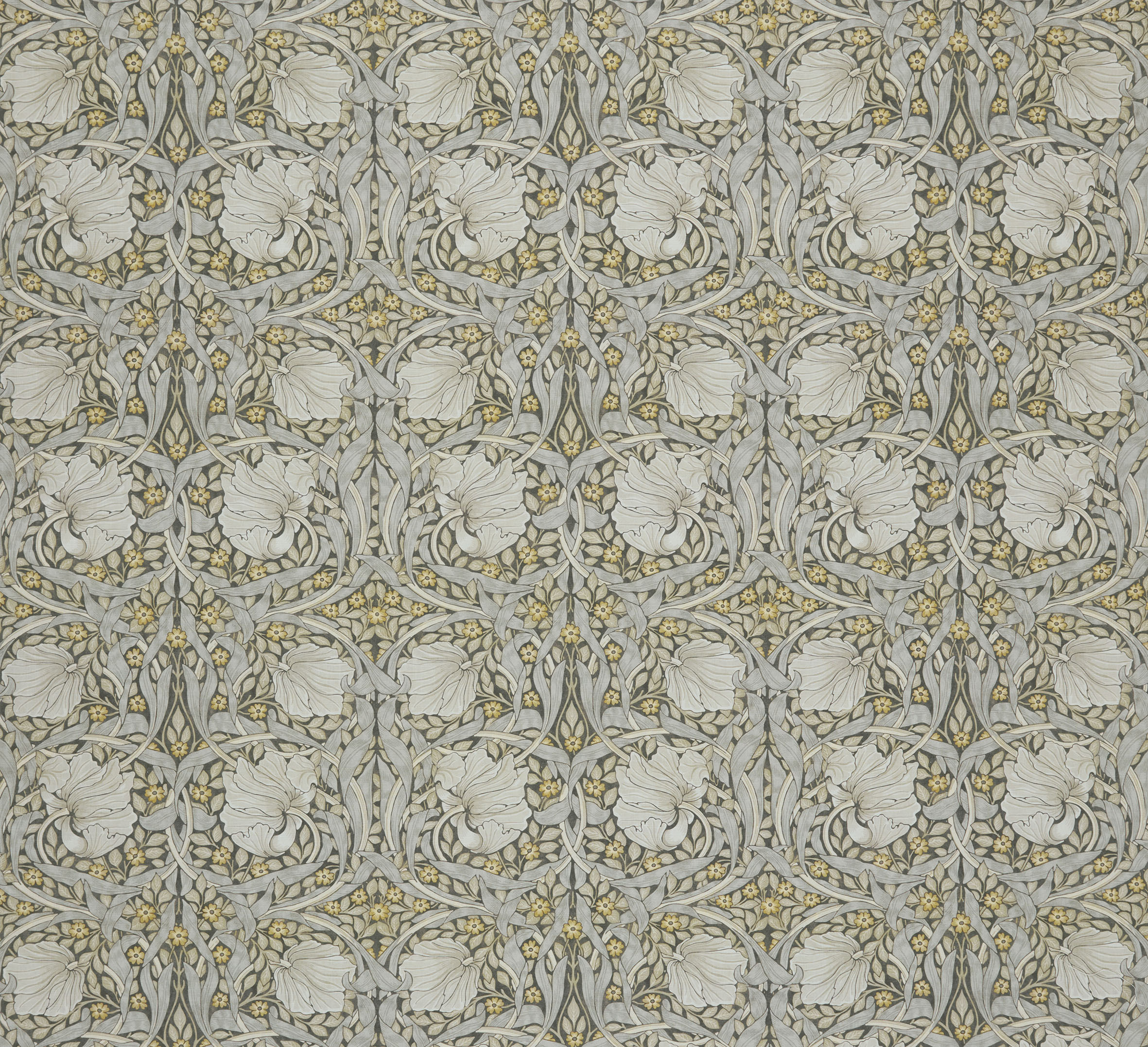 Pimpernel Flint