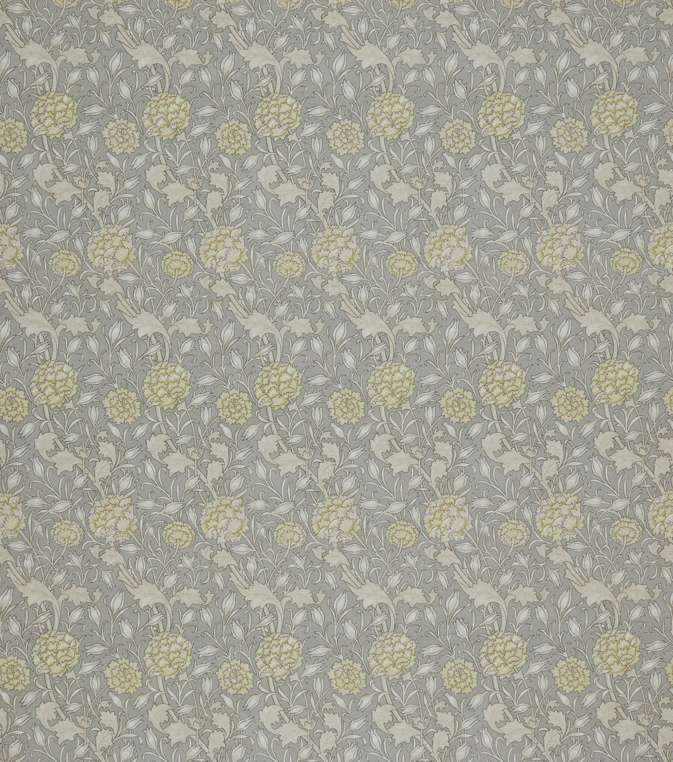 Wild Tulip Limestone