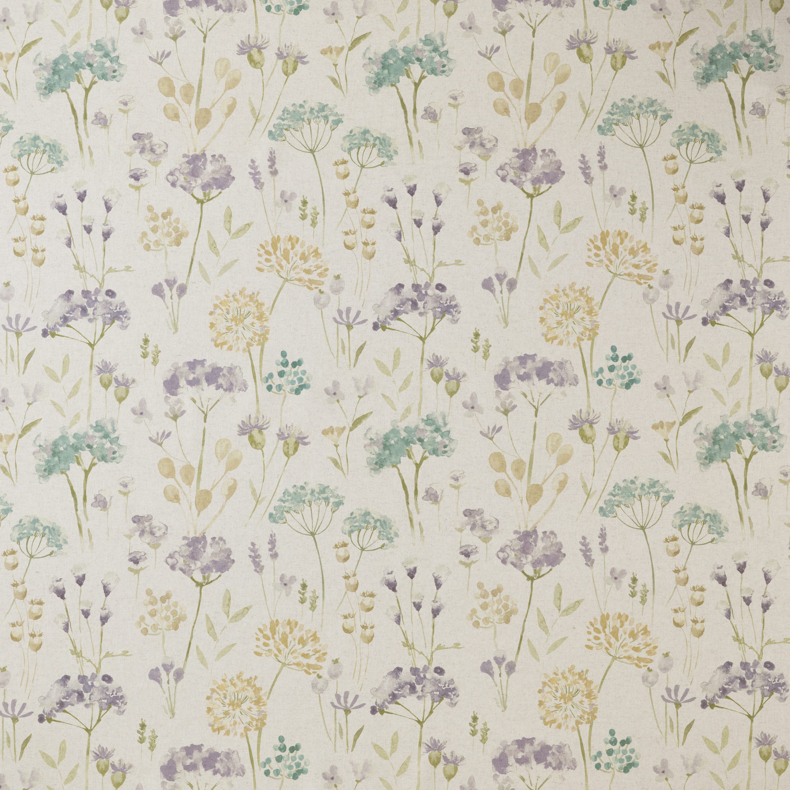 Daphne Heather