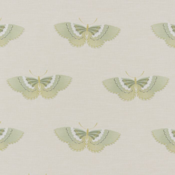 Kano Pistachio