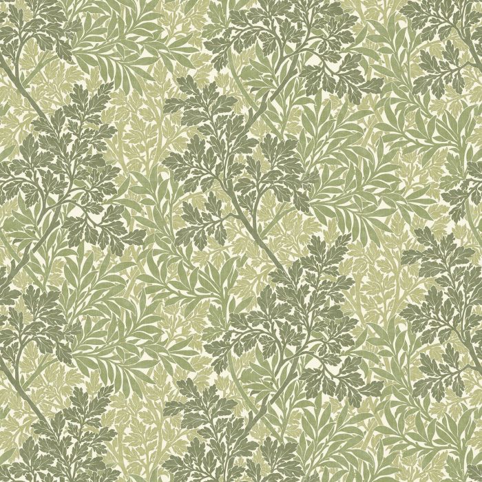 Foliage Fern