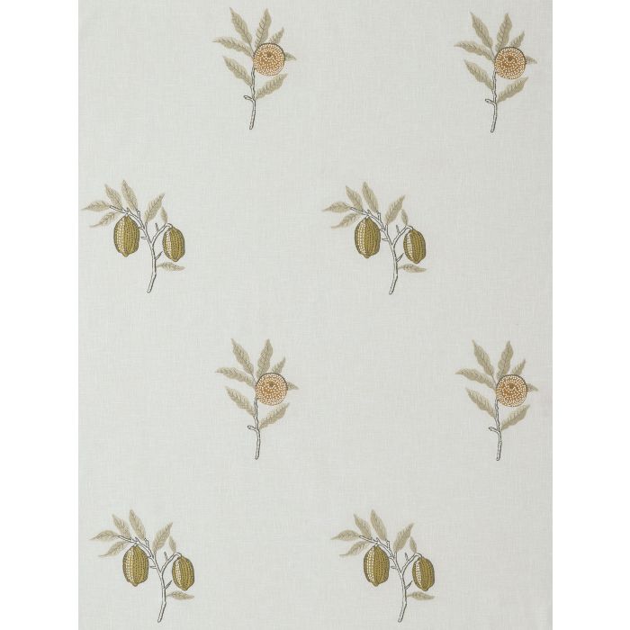 Fruit Embroidery Honey