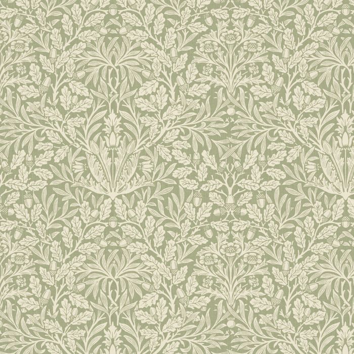 acorn lichen
