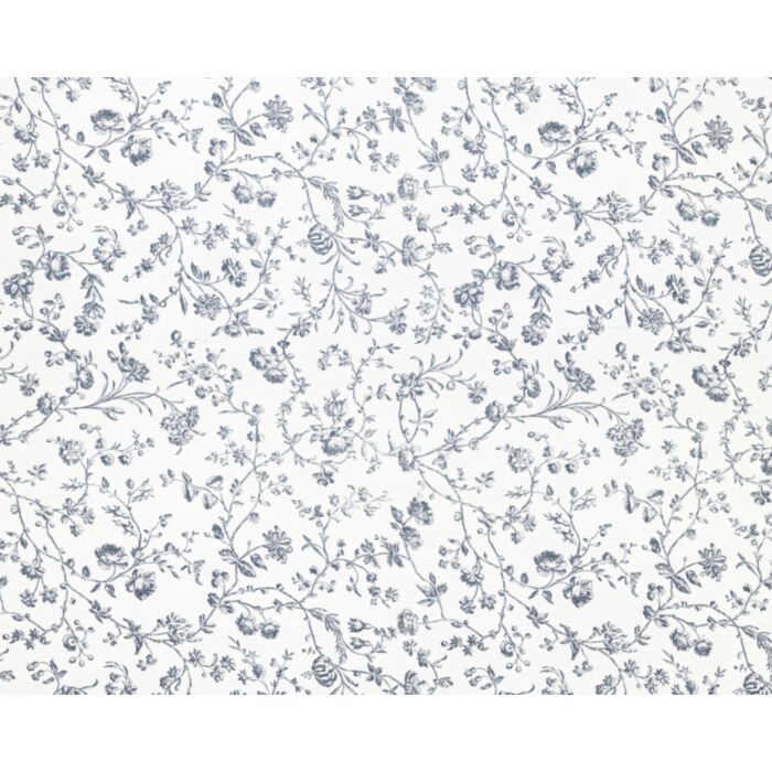 aria dark sean spray