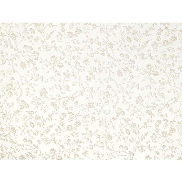 aria dove grey