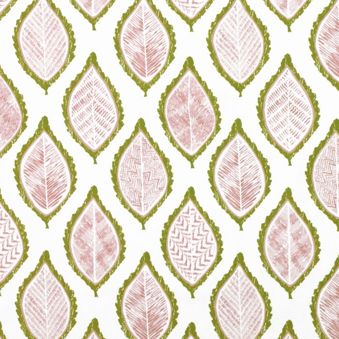 ava pear