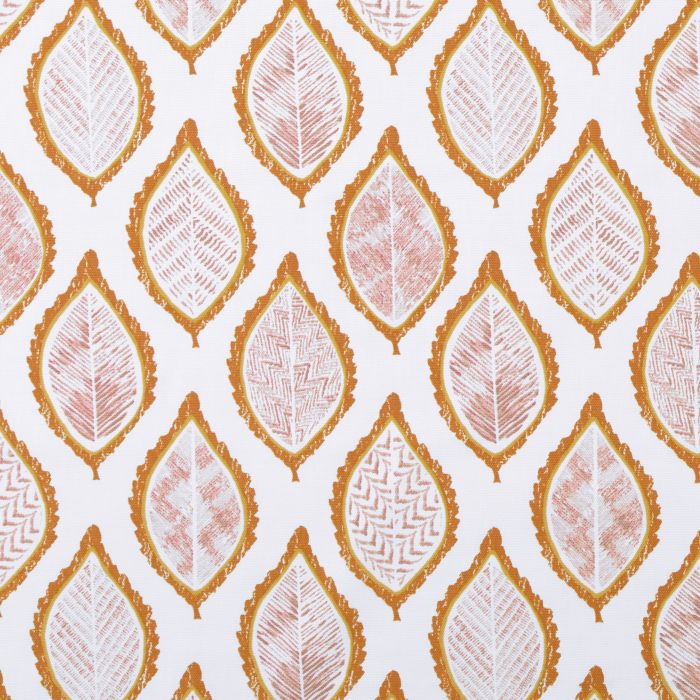 ava tangerine