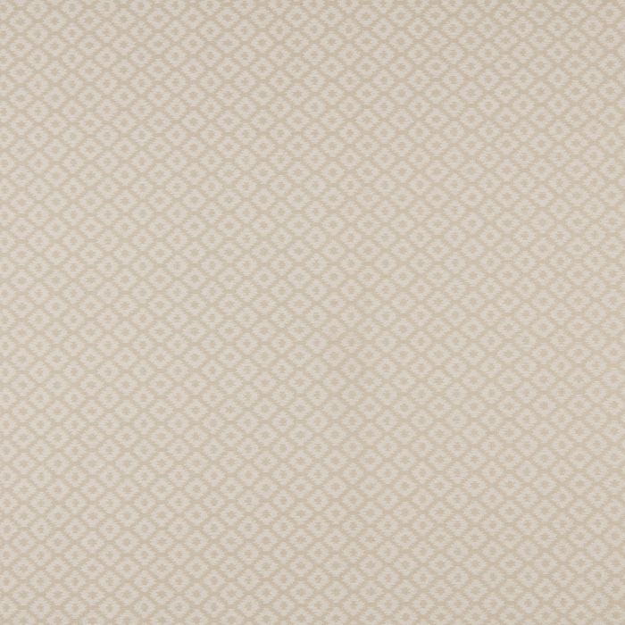 berber parchment