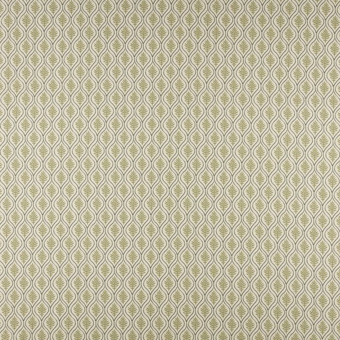 calvia olive