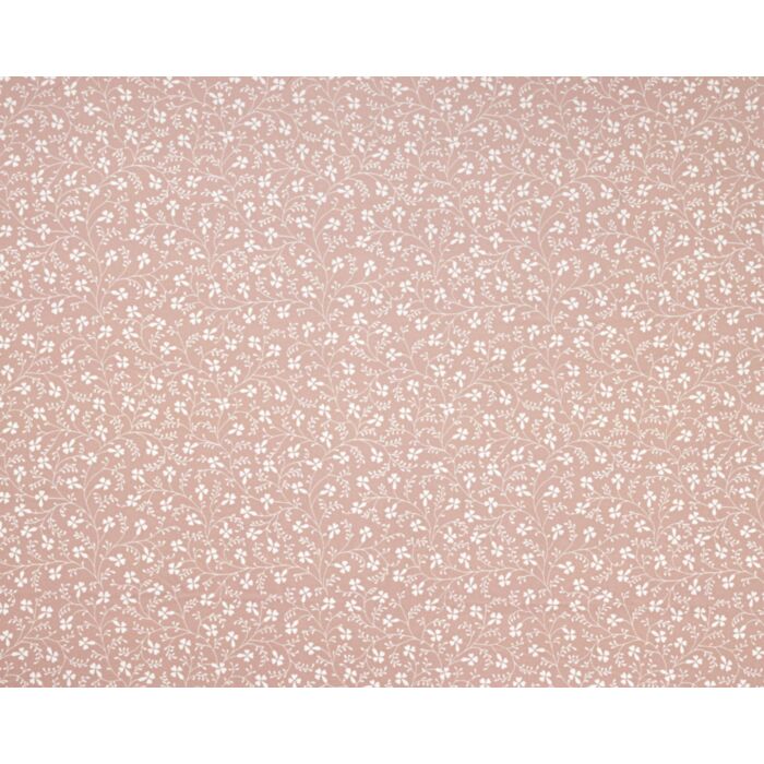 campion plaster