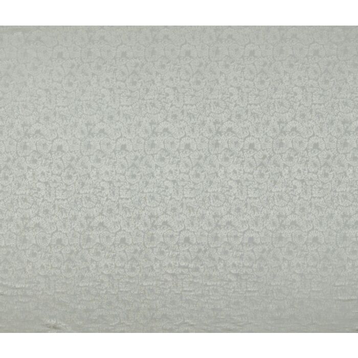 caninia limestone